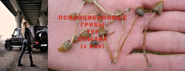 трава Михайловка