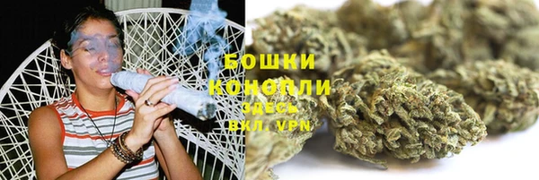 тгк Медвежьегорск
