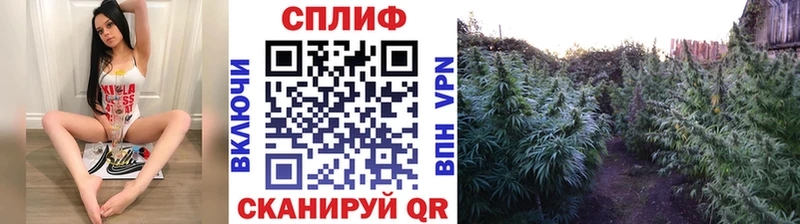 Бошки Шишки SATIVA & INDICA  MEGA ссылка  сайты даркнета как зайти  Грайворон 